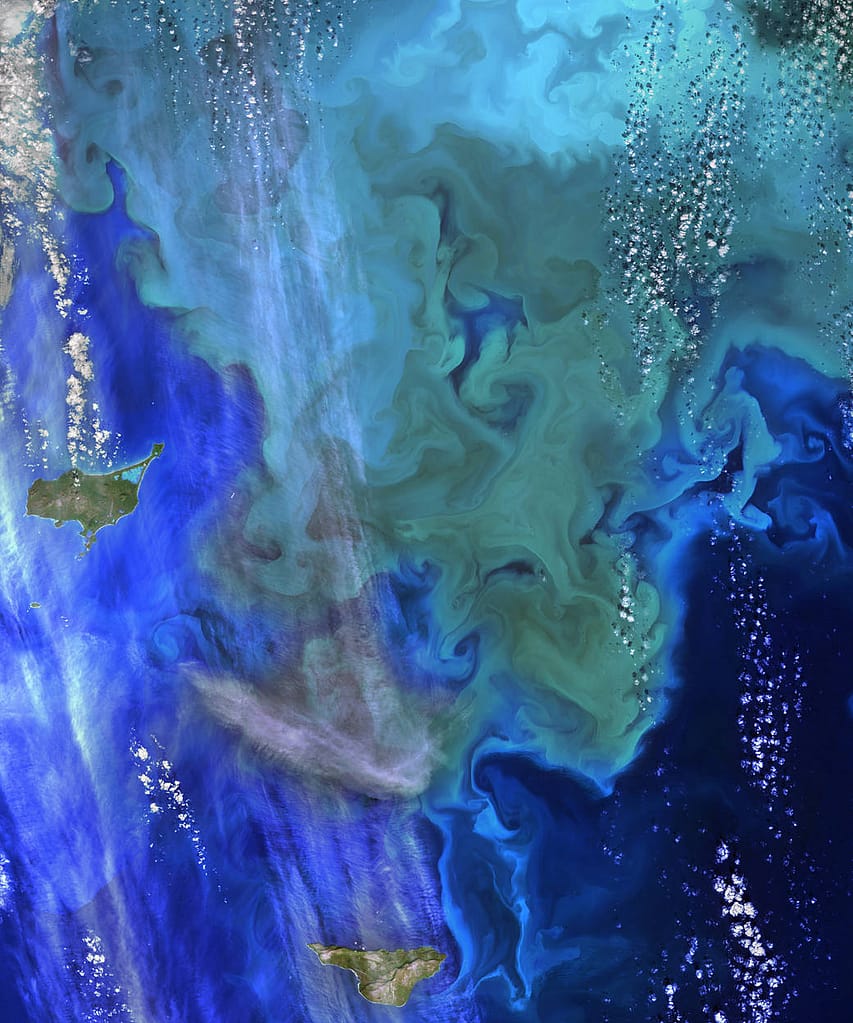 Sea Around the Pribilof Islands.  The Pribilofs are surrounded by nutrient-rich waters and microscopic phytoplankton in the Bering Sea. Credit: NASA/Landsat 8
